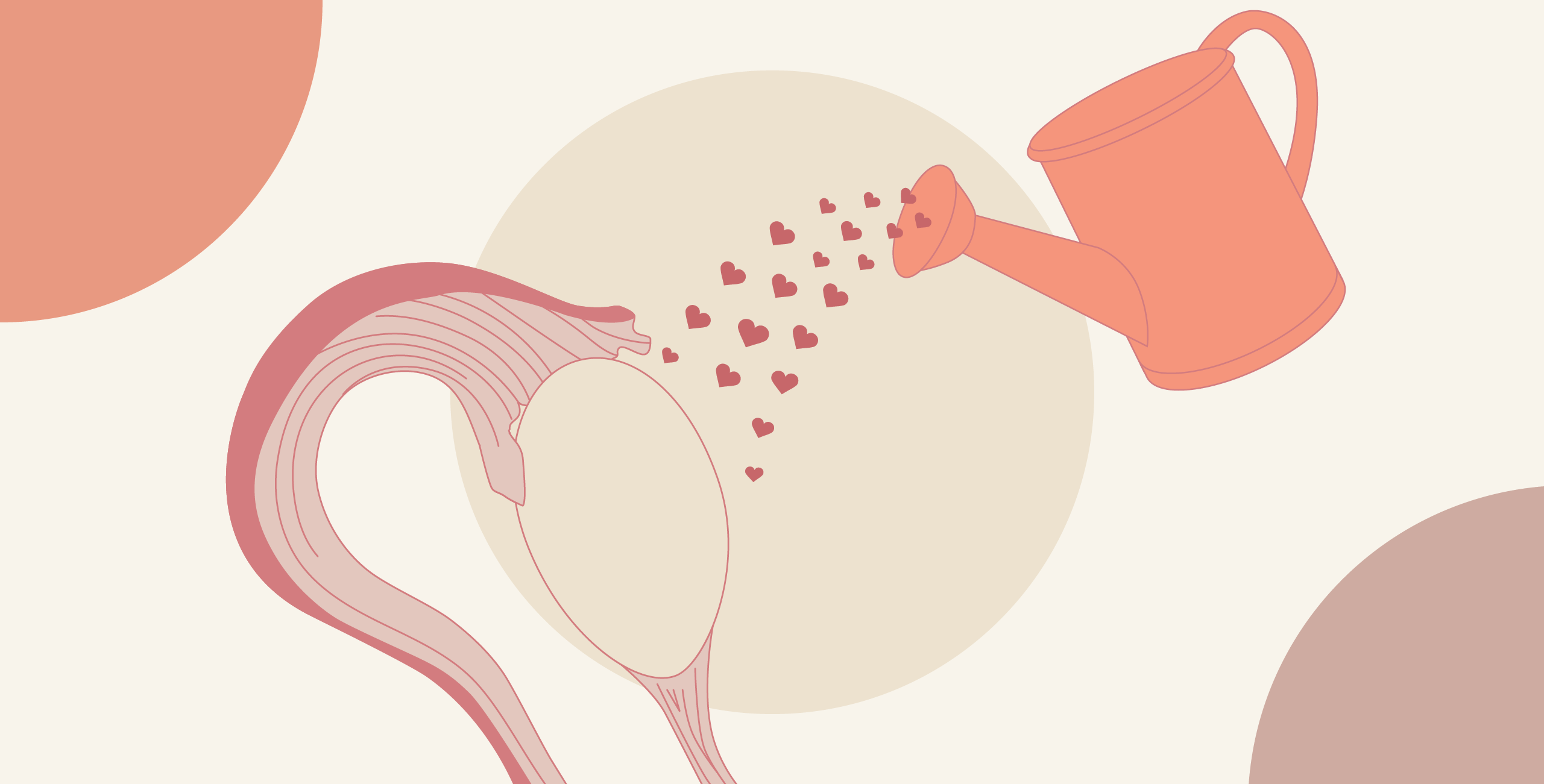 WHAT ARE OVARIES? GIVEN YOURS MUCH THOUGHT LATELY?