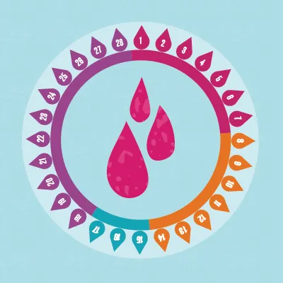 Your Ultimate Guide to Your Menstrual Cycle