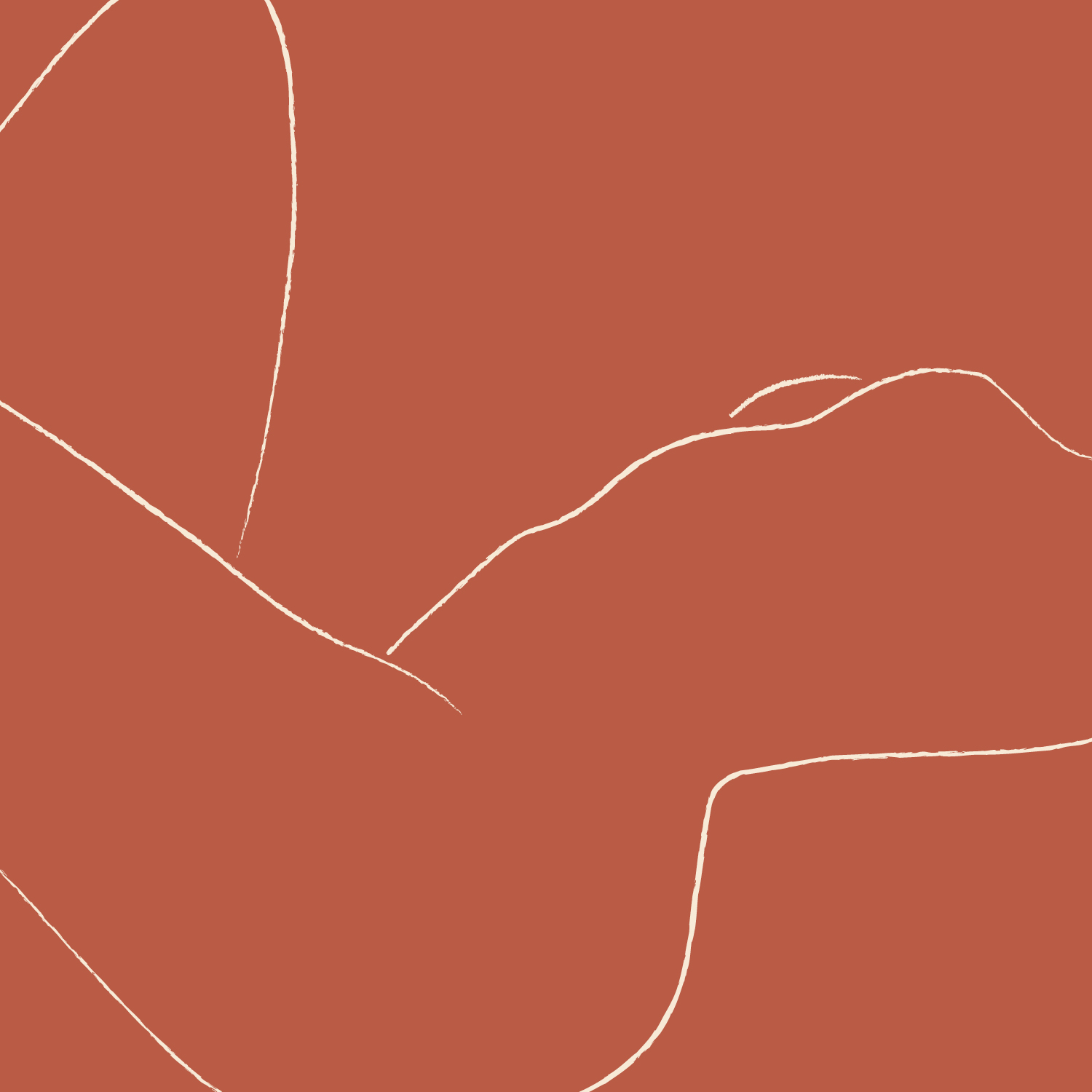 THE INS AND OUTS OF ORGASMS